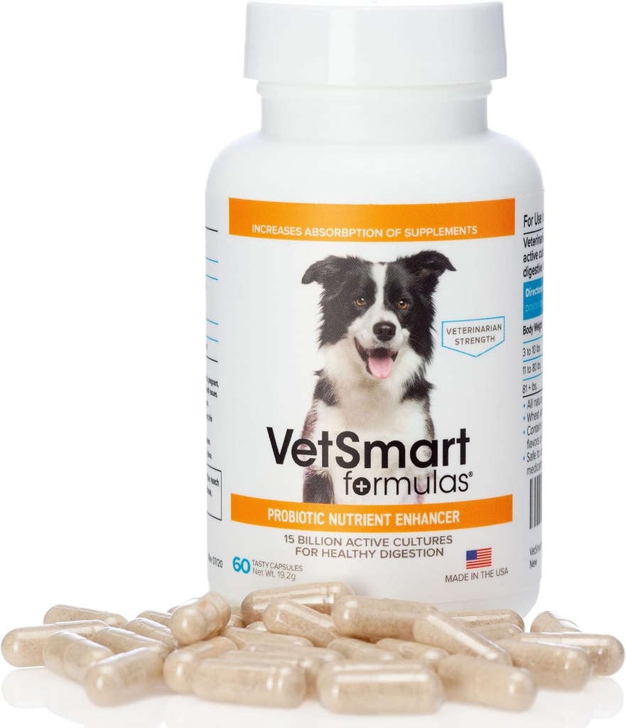 Pet Probiotics for Dogs Supplement - Unterstützt Verdauungsenzyme für Nährstoffabsorption - 15 Milliarden aktive probiotische Kulturen Angriffsentzündung zur Verhinderung der Infektion