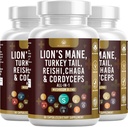 Mushroom Supplement mit Lion's Mane Turkey Tail Reishi Cordyceps Chaga Marshmallow Root - 180 Count