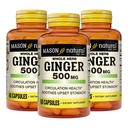 MASON NATURAL ganze Kräuter Ginger 500 mg, 6 Monate Versorgung, natürliche Kräuterergänzung, 60 Kapseln (3 Pack)