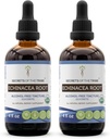 Racine d'échinacée Teinture biologique USDA Extrait sans alcool, gouttes à base de plantes de haute puissance, santé du système immunitaire