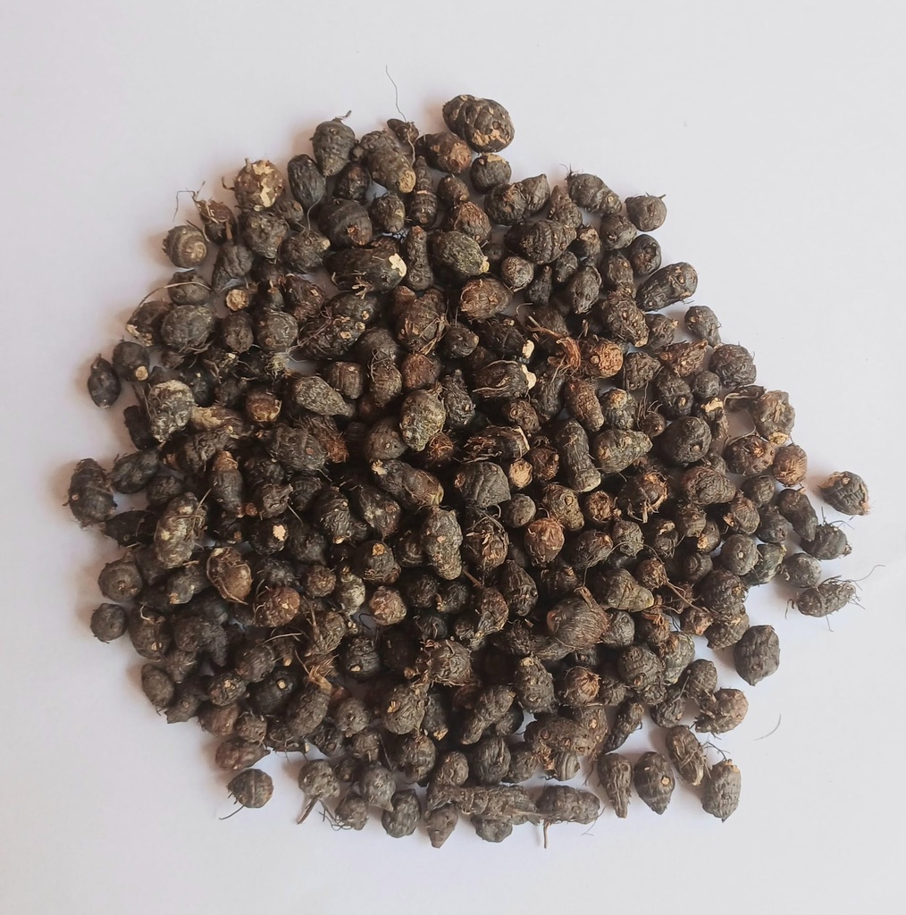 NAGARMOTHA ROOT 100g | Agatsya Musta Root | Cyperus rotundus | Nut grass | Bhadramusti | Pure Herb | No added Colour & Preservative |