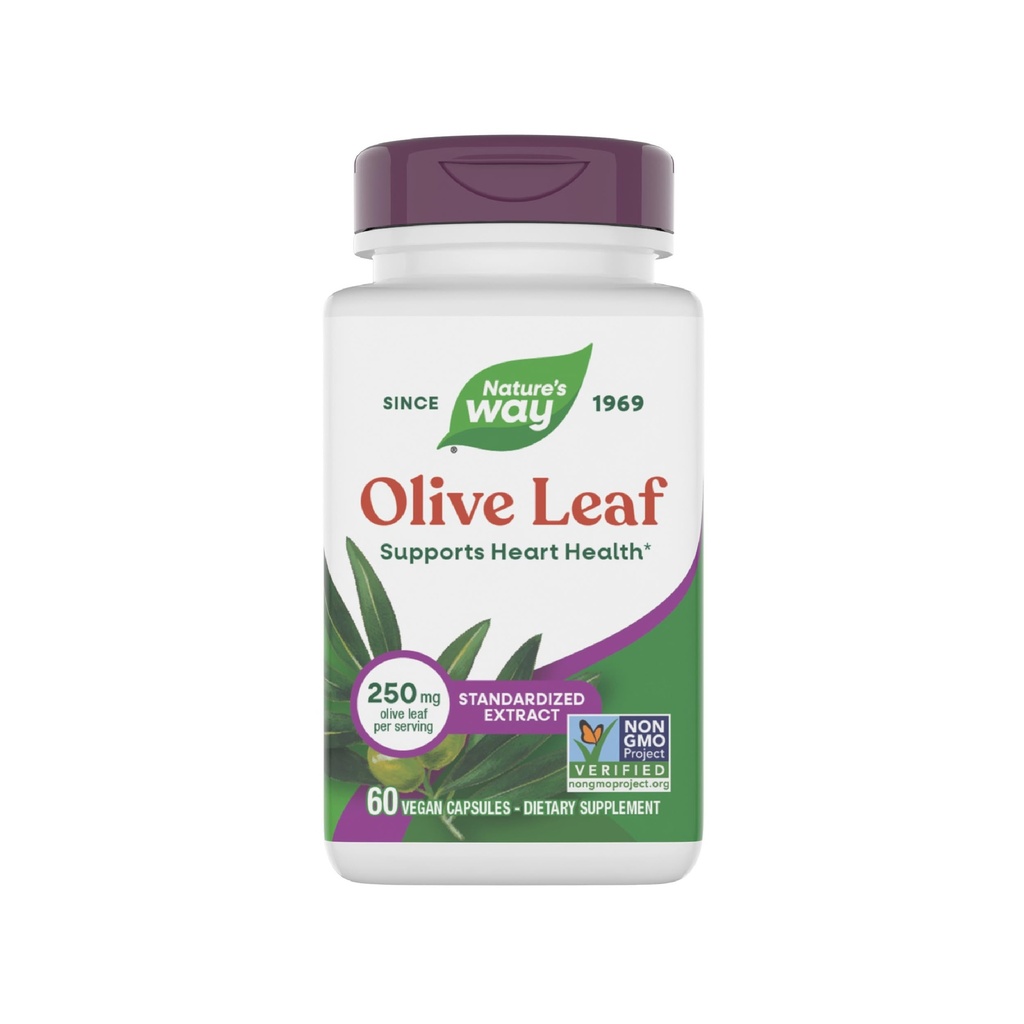 Nature's Way Olive Leaf Premium Extract Supplement, Unterstützt Herzgesundheit*, 250 mg Per Servieren, Glutenfrei, Vegan, 60 Kapseln (Packaging Mai Vary)