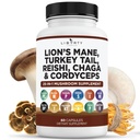 Lions Mane Mushroom Supplement mit Türkei Tail Reishi Cordyceps Chaga mit Marshmallow Root - 1-Pack