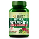 Vlado's Himalayan Organics Plant Based Vitamin B12 Supplement- with Vitamin B1,B2,B3,B5,B6,B7,B9,Moringa | 100% Natural | Support Nerve Health & Brain Function I Energy Production, Energy, Maximize Absorption, Boost Metabolism I Active form of Vitamin B12 For Men & Women - 60 Vegetarian Capsules