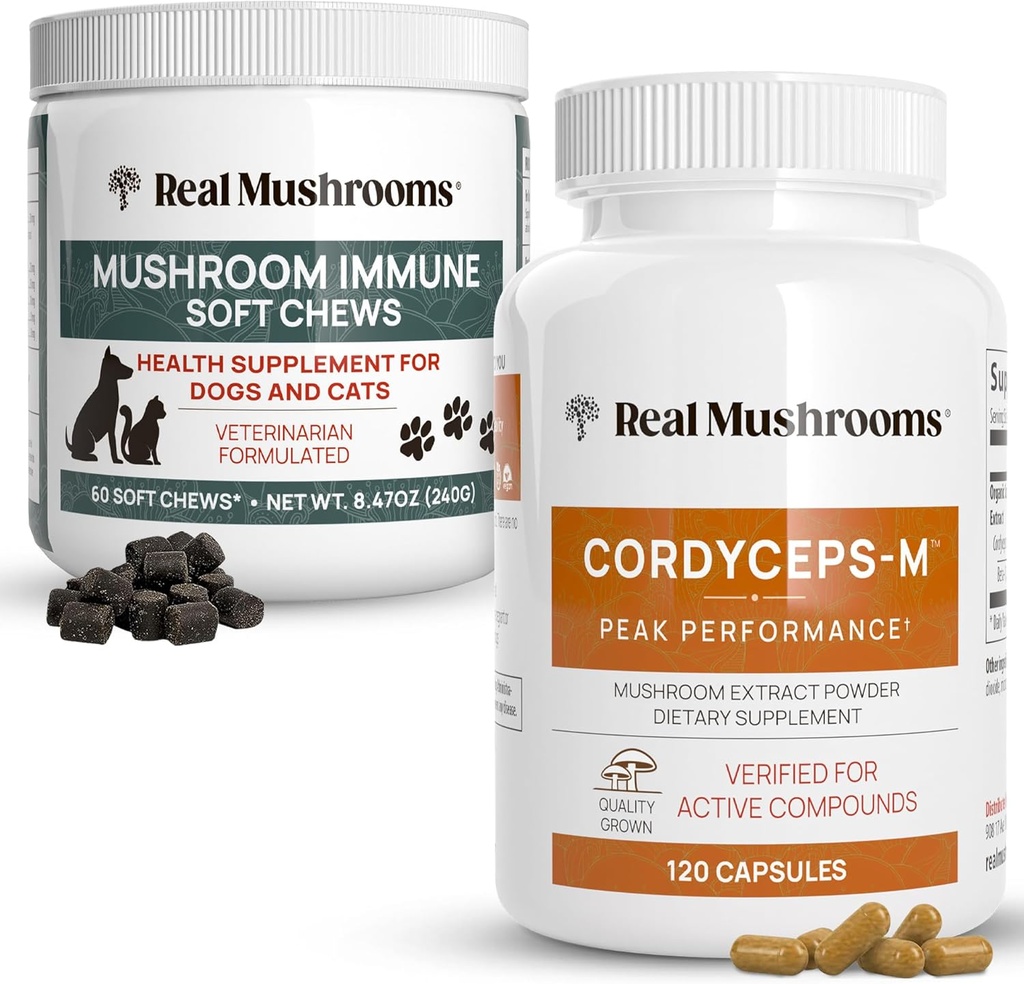 Real Mushrooms Cordyceps for Humans (120ct) & Mushroom Immune Pet Chews (60ct) - Bundle for Energy, Vitality & Immunity - Ashwagandha, Astragalus & More - Vegan, Non-GMO, Gluten-Free, Grain-Free