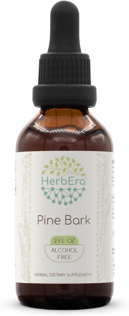 HerbEra Pine Bark B60 Alkoholfreie Kräuterextrakt Tinktur, Konzentration flüssige Tropfen natürliche Pine Bark (Proanthocyanidin) Getrocknete Bark 2 fl oz