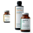 ALGAECAL Bundle - Vitamin D3 Complete (1000 IU) + Vitamine K2, E & A & Pflanzenbasiertes Calcium für stärkere Knochen & Fischöl Omega 3 1200mg EPA DHA