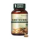 ZEROHARM Holistic Shatavari Supplement - Nano Formulated Shatavari Root Extract Powder for Hormonal Balance & Lactation Support - PCOS PCOD, PMS & Menopause Wellness for Women - 60 Tablets