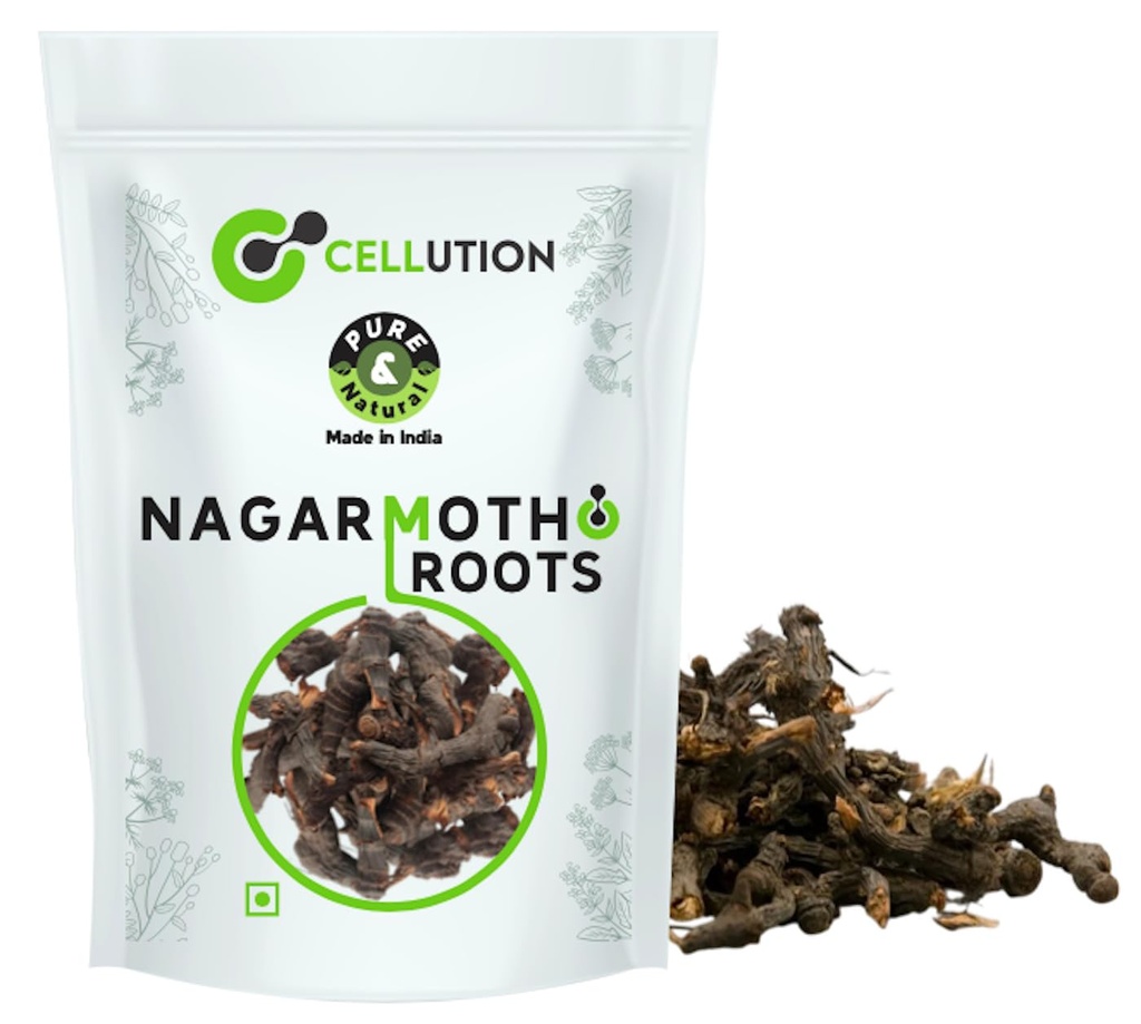 CELLUTION Nagarmotha Root - 100gm (Raw) | Nagarmotha | Mustak/Cyperus Rotundus Rhizome | Cyperus Rotundus Rhizome - Nut Sedge Root - Pure & Natural (100 Grams)