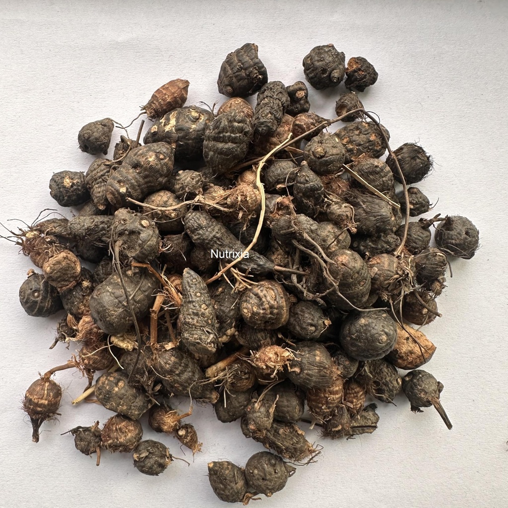 Nagarmotha/नागरमोथा-Sedge Root/Cyperus rotundus (250 Gms)