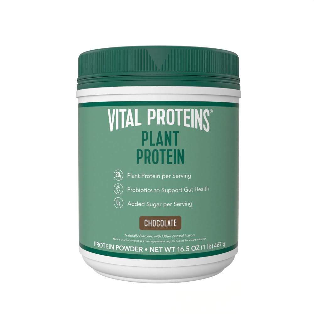 Vitalprotein-Pulver – 20g Pflanzenbasiertes Protein mit Chickpea – 1B CFU Probiotic for Gut Health, No Added Sugar – Schokolade, 16.5 Unze