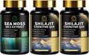 Sea Moss und Shilajit Kapseln für Männer und Frauen, Alle in 1 Ergänzungen mit Shilajit, Sea Moss, Coenzym Q10, Black Seed, Ashwagandha, Burdock for Energy, Antioxidant & Immune Support