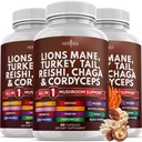 NEU AGE Lions Mane Mushroom Supplement mit Türkei Tail Reishi Cordyceps Chaga mit Marshmallow Root 180 Count
