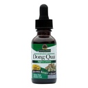Nature's Answer Dong Quai Womens Support Supplement - Female Hormonal Support, Weibliche Wellness Supplement, Flüssiger Extrakt, Alkoholfrei, Glutenfrei, Kosher - 1 oz