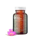 Native Formules Restore 3 Proteolytic Enzyme & Spore Probiotic Blend Supplément - 60 Capsules - Advanced Biofilm Disruption Aid - Soutien GI Health, Fibromyalgia, Gut Flora, Muscle