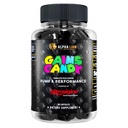 ALPHA LION Gains Candy, Ergänzung Pillen für Muskelpumpe & Blutfluss, Nitric Oxid Booster, unterstützt Mental Fokus, Verwenden Sie täglich Workout Performance, 63 Kapseln (Nitrosigine)