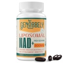 800 mg Liposomal NAD+ Ergänzung mit Nicotinamid Riboside 200 mg, Trans-Resveratrol 100 mg - Echte NAD-Ergänzung für DNA-Reparatur, Gesundes Altern, Gehirnfunktion - 60-Tage-Versorgung