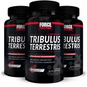 FORCE FACTOR Tribulus Terrestris für Herren, 3-Pack, Tribulus Testosteron Booster für Männer, männliche Vitalitätsergänzung, Tribulus Extract & natürliche Inhaltsstoffe für überragende Absorption, 1000mg, 180 Kapseln