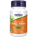 JETZT Nahrungsergänzungsmittel, Ginkgo Biloba 120 mg, Double Strength, Non-GMO Project Verified, 50 Veg Kapseln