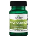 Swanson Pycnogenol 100 Milligramme 30 Kapseln