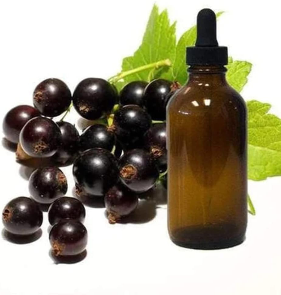 Black Currant Huile de graines 1 oz Bouteille à gouttes en verre