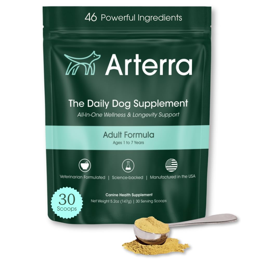 Adult Dog Powder Supplement & Food Topper – 46 Zutaten für Gut, Immun- und Gehirngesundheit – Daily Longevity Multivitamin für Ganzkörper Wellness | 30 Scoops