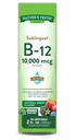 Nature's Truth Sublingual Vitamin B-12 10.000 Mcg, Fast Acting Liquid, Natural Berry Flavor, 2 Fluid Ounce (Pack von 1)