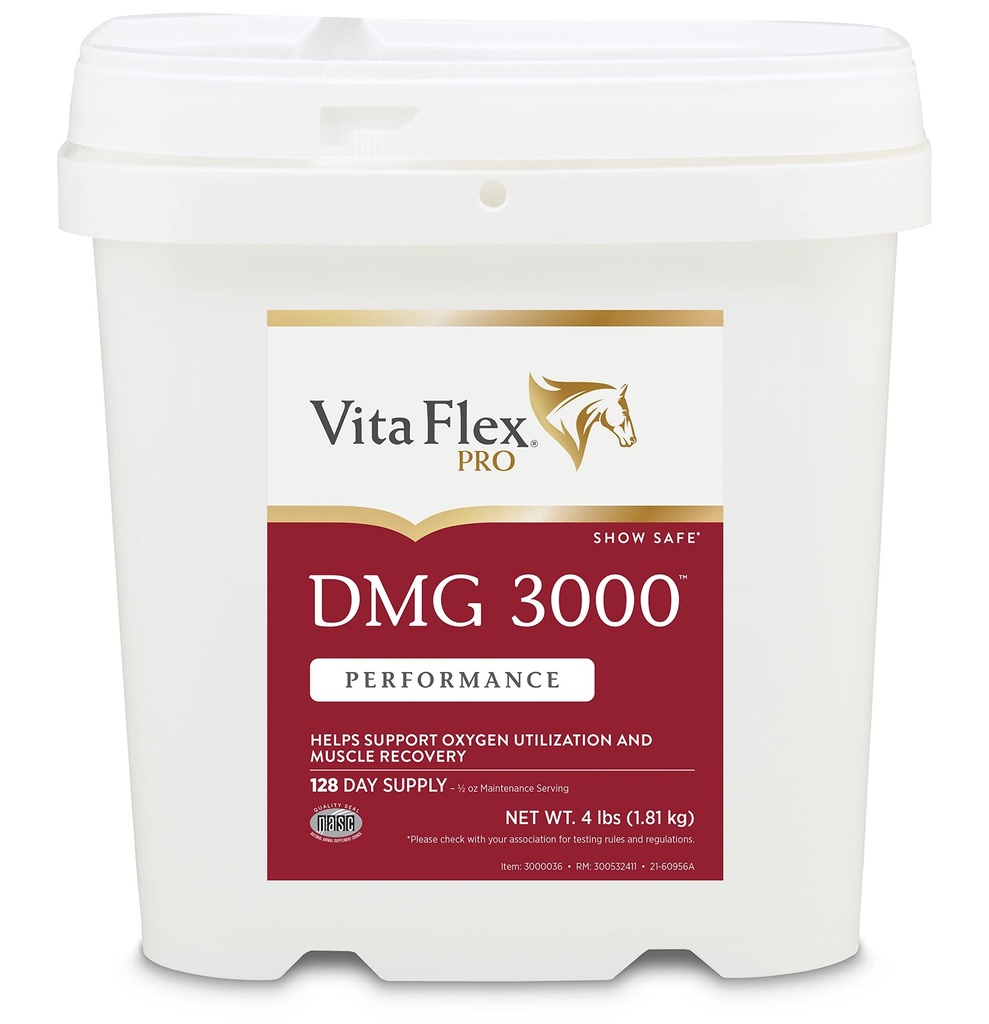 Vita Flex Pro DMG 3000 Horse DMG Concentrate, 4 livres, 128 jours de ravitaillement