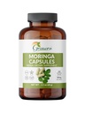 Bio Moringa Kapseln – 120 Count | Pure Moringa Oleifera Blatt Pulver Pillen | Natürliche Nahrungsergänzungsmittel | Kräuter Energie und Antioxidantien Unterstützung | Vegan, Non-GMO, Single Origin Malunggay