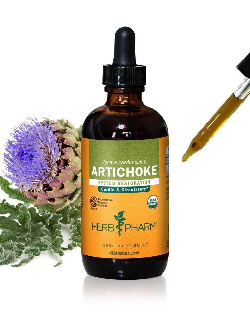 Herb Pharm Certified Organic Artichoke Liquid Extract für Herz- und Kreislaufunterstützung - 4 Unze