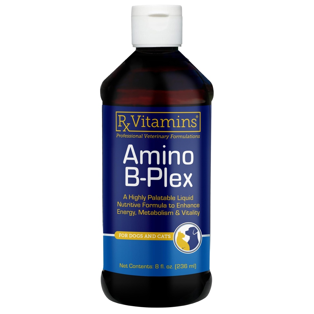 Rx Vitamins Amino B-Plex Cat & Dog Supplement - Vitamin B Complex Liquid Plus Aminosäuren für Hunde & Katzen - Appetit Booster und Katze & Hunde Gewicht Gainer - Ergänzungen & Vitamine - 8 Unze