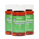 CAW Nano Cycloastragenol 25Mg | Telomerase-Aktivierung DNA-Reparatur | Bessere Absorption Immunity Boost | 30 Enteric-Coated Vegetarian Kapseln (3 Flaschen)