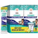 GuruNanda Hydramate Mélange de boissons de soutien à l'hydratation - Paquets de poudre d'électrolyte pour déshydratation, exercice et énergie - No Added Sweeteners, non-OGM, Lime Lime naturel - 48 Comte (0.56 oz Chacun)