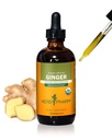 USDA Organic Ginger Root Extract*: Verdauungshilfe | Ginger Tincture für Occasional Nausea | Non-Bitter Vegan Verdauungsergänzung | 4 Oz, Bis zu 3 Monate Versorgung