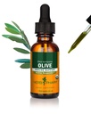 Herb Pharm Certified Olive Leaf Liquid Extract Drops for Immune System Support, 1 Oz
