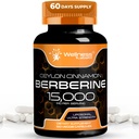 WELLNESS LABSRX Berberine Supplement 15.000mg - Berberine mit Ceylon Cinnamon, Overall Wellness Support Capsules - 120 Kapseln (Pack von 1)