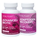 Vitalplan Immununterstützung Ergänzungen von Dr. Bill Rawls – Immune Boost Bundle w/Japanische Knotweed, Cat’s Claw, Chinesische Skullcap & Reishi Mushroom