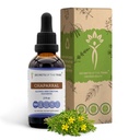 Secrets of the Tribe Chaparral Alcohol-Free Liquid Extract, Chaparral (Larrea tridentata) Getrocknete Blatt- und Blütenzusatz (2 FL OZ)