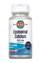 KAL Liposomal Kalzium 500 mg, hohe Absorption Kalziumergänzung, essentielle Kalzium Unterstützung, Vegan, Glutenfrei, keine Soja, 30 Servierungen, 90 VegCaps
