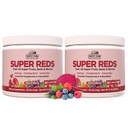 CARACTÉRISTIQUES DE PAYS Super Rouges, Energisant Polyphénol Superfood, Plus de 40 Super Fruits et baies, puissants antioxydants et polyphénols, soutient l'énergie, soutient la circulation, 40 portions, Berry mixte