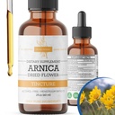 Arnica Liquid Extract – Alkoholfrei, Vegan, unterstützt Muskelrückgewinnung & Gelenkkomfort, schnell absorbierende Tinktur, Made in USA – 2 Fl Oz