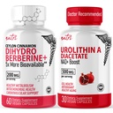 Nature's Fusions Nutri Dihydroberine (60 Kapseln) & Urolithin A Diacetat 500mg Energy Booster Supplement