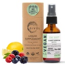 Organic ZINC Boost Mist 40 mg (Extra Strength) - Sugar Free with Vit C and Elderberry Extract - Vegan Liquid Spray for Kids and Adults - Easy Absorption - Non-GMO - (60 ml) 60 Days Supply