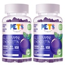 Tiere Reinste Glucosamin Chondroitin Gummis mit MSM & Elderberry Extra Strength - Joint Support, Antioxidant Immun Support Supplement für Erwachsene, Männer & Frauen.(2 Pack) Blueberry