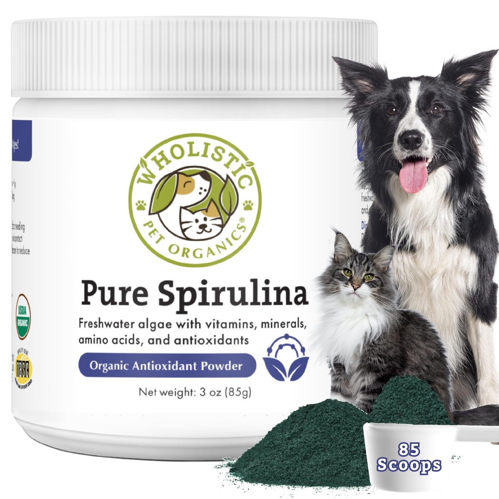 Wholistic Pet Organics Spiruline pour chiens - 3 Oz - Soutiens Système immunitaire sain et allergie saisonnière - Plant based Antioxydant Support pour les aliments maison - Bio Dog Food Topper - Freshly Made in USA