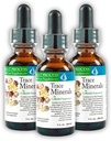 Morter Trace Minerals in kolloidaler Suspension (3 Pack) Morter HealthSystem Best Process Alkaline — Nährstoffdichte Spurenelemente, Fulvic Minerals & Aminosäuren