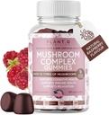 Pilzgummis Premium-Ergänzung [10 Pilz-Komplex-Extrakt] Delicious & Fast Acting Lion’s Mane, Reishi, Shiitake Nootropic Brain-Unterstützung, Immununterstützung, Stimmung & Entspannung, 60 Chews