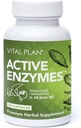 Vital Plan Active Enzymes Supplement von Dr. Bill Rawls - Verdauungsenzyme für Gut Gesundheit & Verdauung - Protease, Bromelain, Lactase, Amylase & Lipase (120 Kapseln)