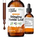 Wild & Organic Stinging Nettle Blatt Extrakt Tropfen - Urinary Tract Support - Liquid Sting Nettle Supplement - Urtica Dioica Tinkture - 2-Monats-Versorgung - Vegan, Zucker & Alkoholfrei - 2 fl oz