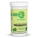 Sunwarrior Probiotics Soil-basierte Vegan Kapseln | 10 Milliarden CFU für Verdauung Soy Kostenlose Gluten Kostenlose Dairy Kostenlose | 30 CT
